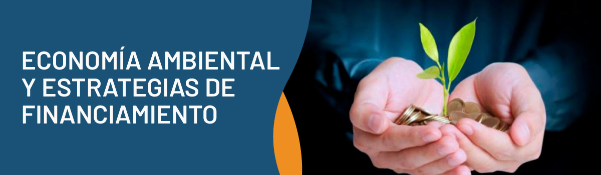 MGAPDE302: Economía Ambiental y Estrategias de Financiamiento