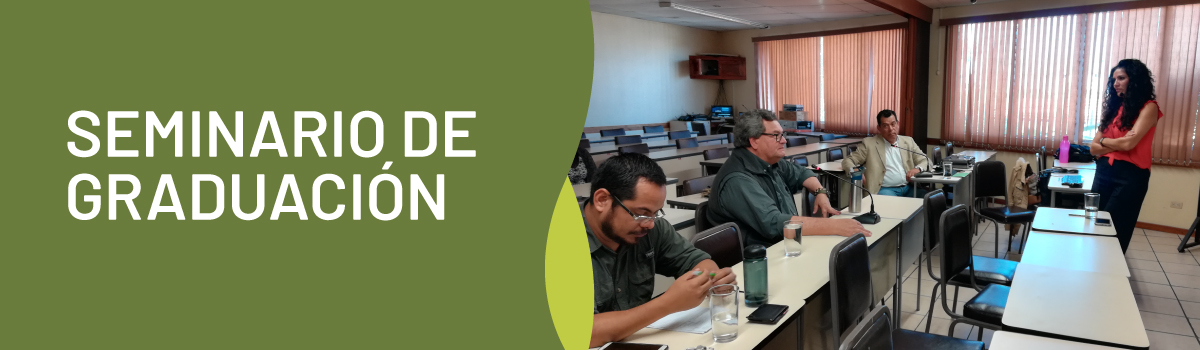MGAPDE403: Seminario de Graduación